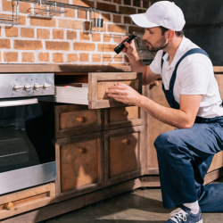 Pest Inspection