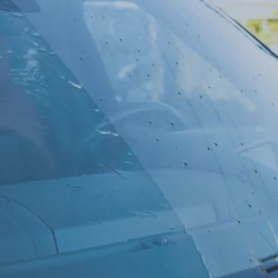 Glass Protection