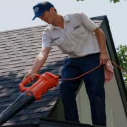 Gutter Cleaning