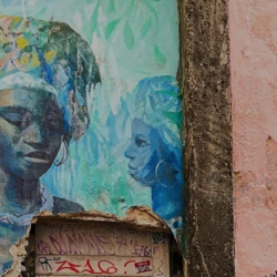 The Literacy Project