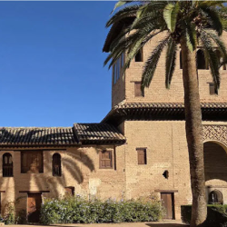 White Label SEO Services for Agencies