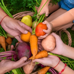 Nutritional and Gut Support