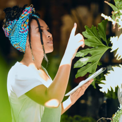 Business Credit Cards