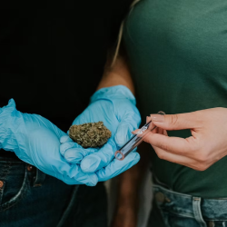 Infused Pre-Rolls