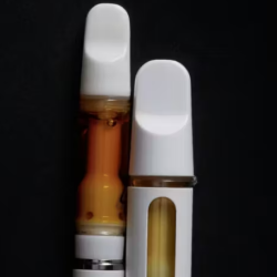 Vape Pen