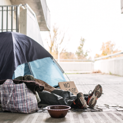 Local Coalition to End Homelessness (LCEH)