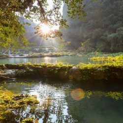 Sponsorship & Advertising