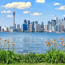 Geothermal Ground Source Heat Pumps