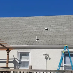 Roof Soft Washing