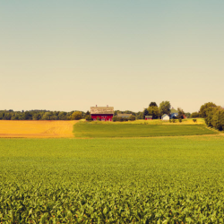 Farm Land