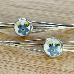 Hairclips