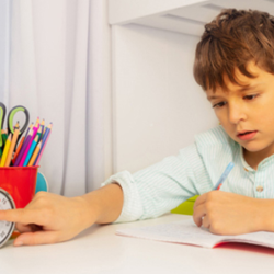 Special Education Teacher