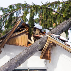 Storm Damage Repair Services