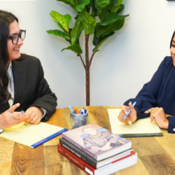 In-House Or General Counsel Services