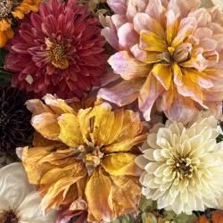 Flower Preservation