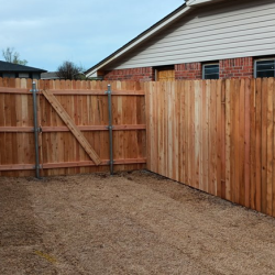 Fence and Gate Painting or Staining
