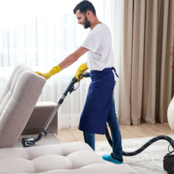 Furniture and Upholstery Cleaning Services