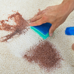 Commercial Cleaning Services