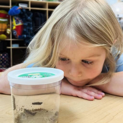 Pre-K Program (Aspen, Sequoia, Maple Classroom)