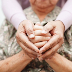 Palliative Care