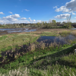 Water and Wastewater