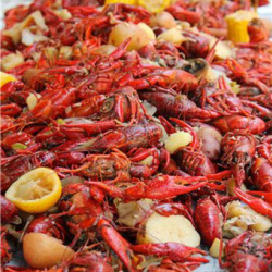 Crawfish Boil (Pre-order)