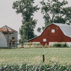 Farm Insurance
