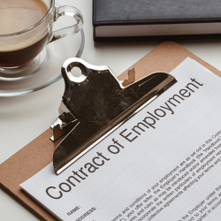 Employment Law