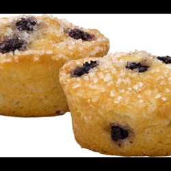 Blueberry Muffin