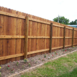 Cedar and Treated Pine Wood Fencing