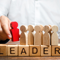 Leadership Development