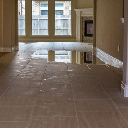 Water Damage Restoration