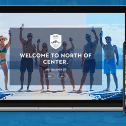 Web Development and Digital Applications