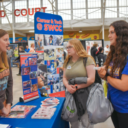 Career Exploration