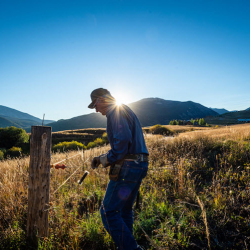Landowners