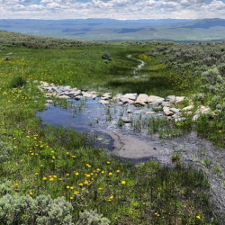 Watershed Management Planning