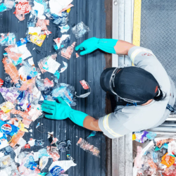 PET Bottle Recycling