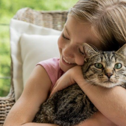 PetVet Clinic