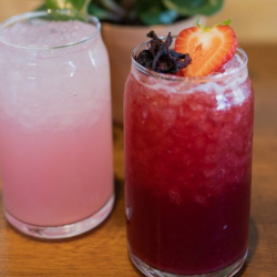 Favorites & Fresheners