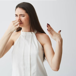 Smoke & Odor Removal