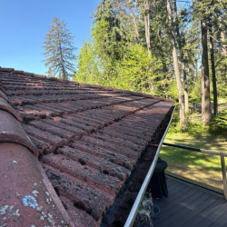 Gutter Installation & Replacement