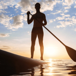 Paddle Boards