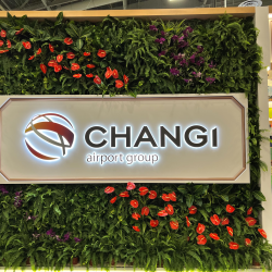 Live Plant Walls