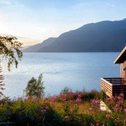 Home Loans