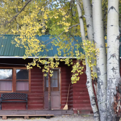 Big New Cabin
