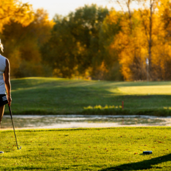 Book a Tee Time