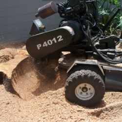 Stump Grinding