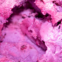 Alaska Wild Berry
