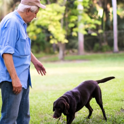 Veteran Care Services