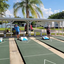 Activities and Entertainment